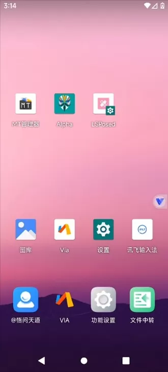 光速虚拟机谷歌商店版