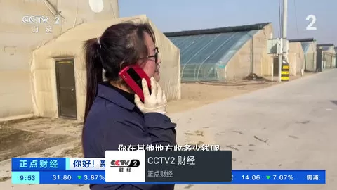 我的电视老版本
