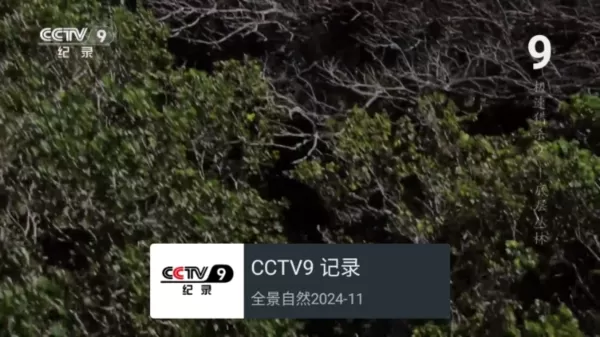 我的电视老版本
