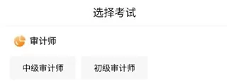 审计师准题库
