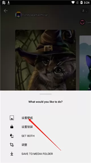 Zedge壁纸