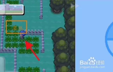 口袋妖怪沉思录
