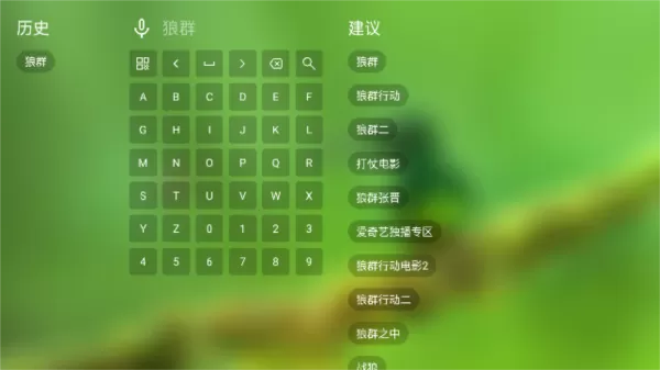 TVBoxFongMi版