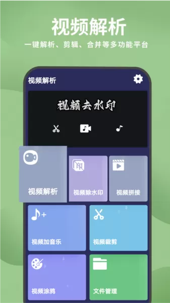 去水印视频解析