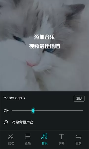视频编辑王手机版
