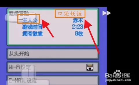 口袋妖怪沉思录