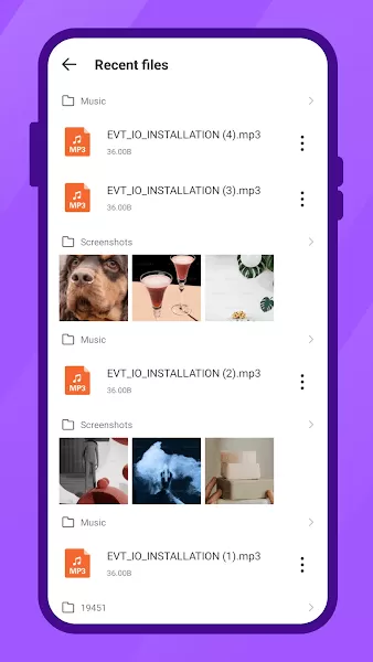 荣耀文件管理app提取版