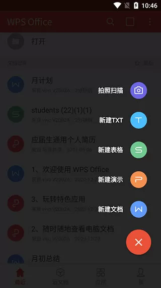 WPS专业版