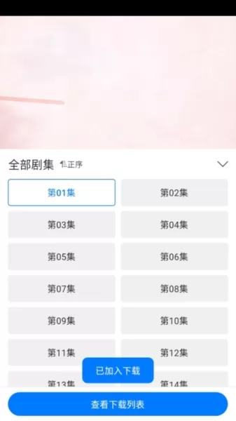 雷龙影视
