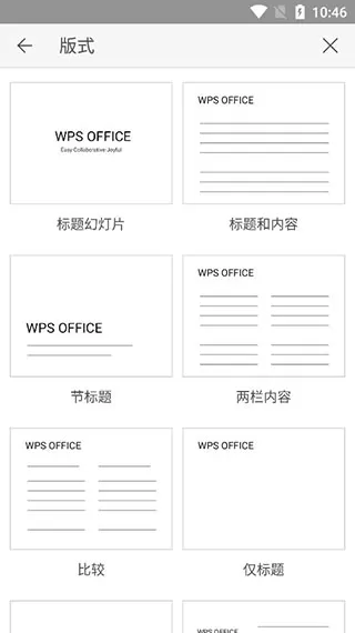 WPS专业版