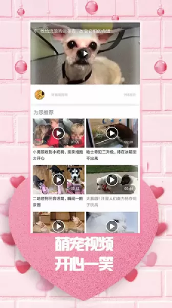 最爱韩剧