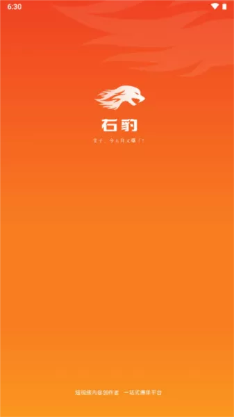 右豹短剧推广