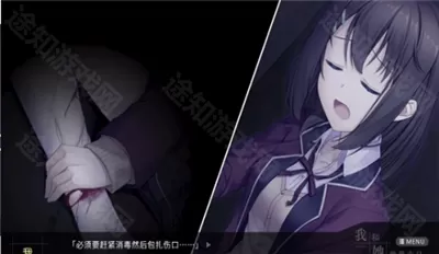 我和她的世界末日手机版