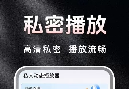 私人动态播放器app