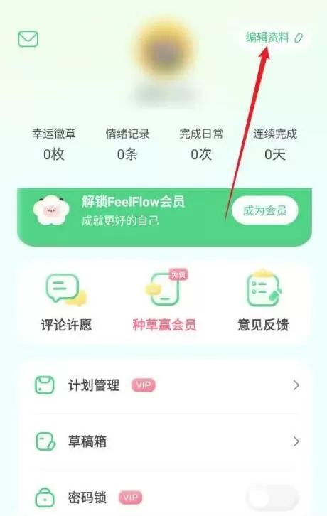 FeelFlow