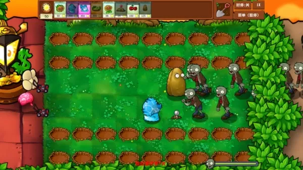 植物大战僵尸乱斗版