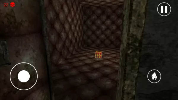 惊悚医院