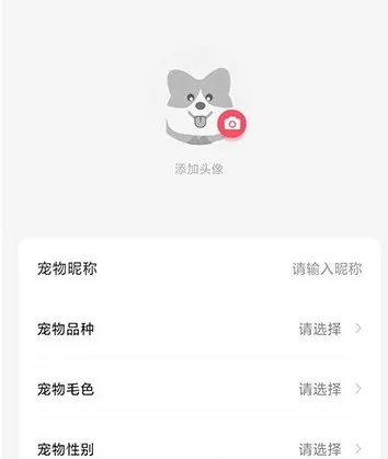 68宠物