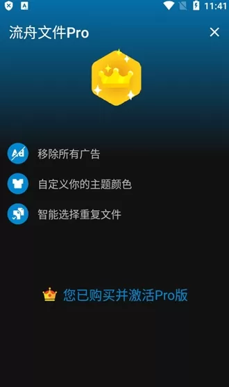 流舟文件Pro专业激活版