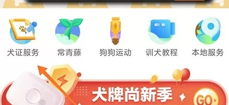 68宠物