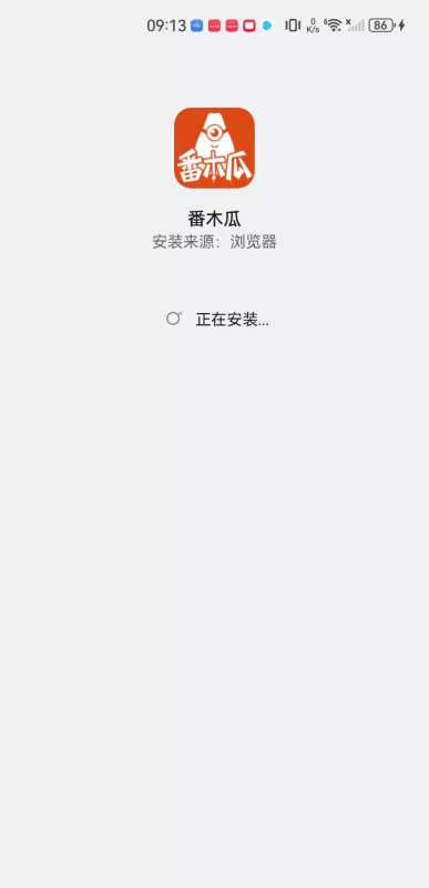 番木瓜