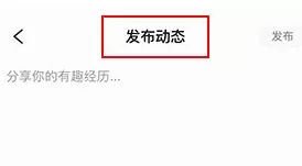 谜圈
