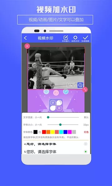 视频水印王