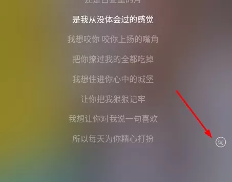 华为音乐播放器