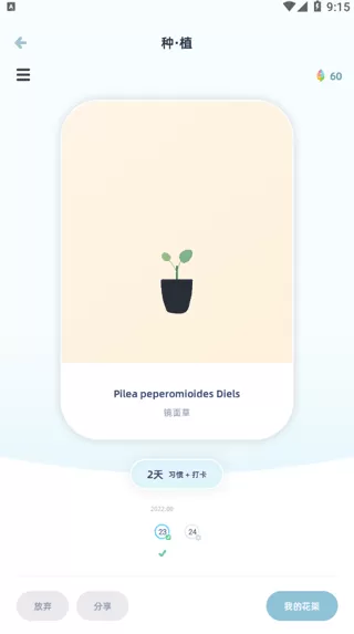 柠檬点点