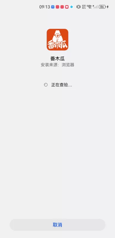 番木瓜