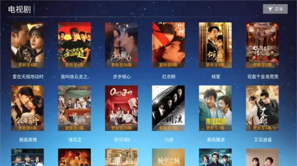 无忧视界tv版内置