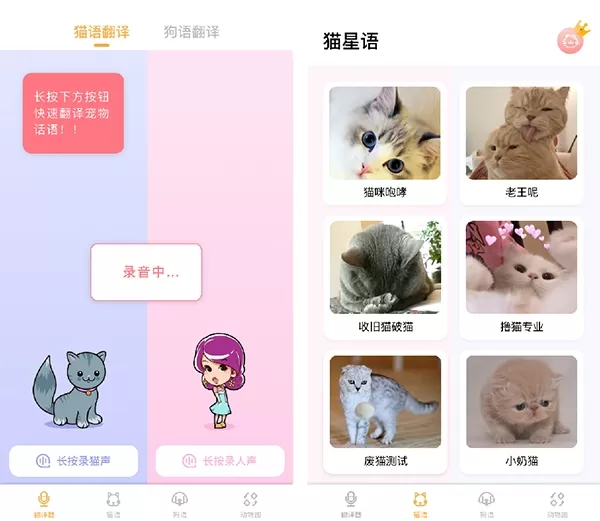 猫语翻译大师