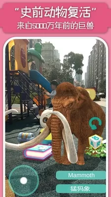 猫小智百科ARAPP