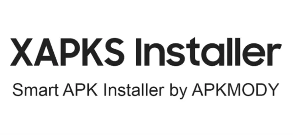 XAPKS installer