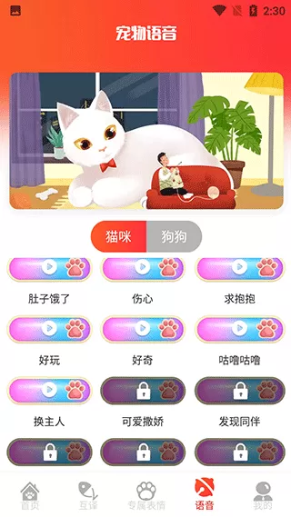 宠物交流器