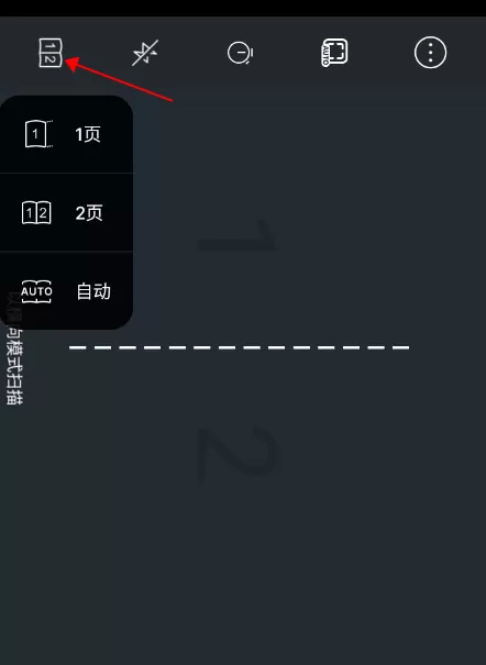 vflat scan