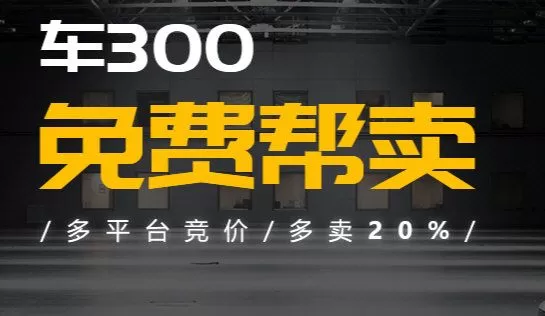车300新车二手车大众版