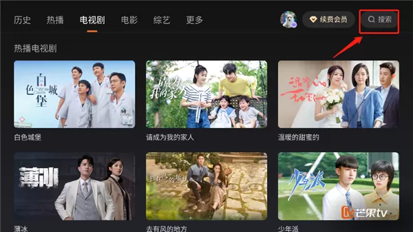 芒果tv车机app