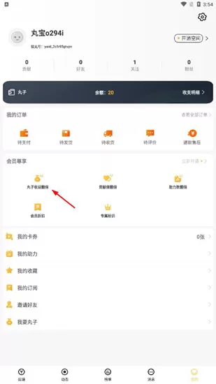娱丸软件