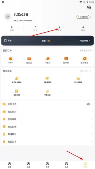 娱丸软件