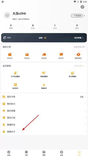 娱丸软件