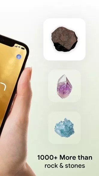 Rock Identifier(岩石识别app)