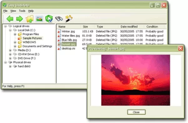 Easy Undelete