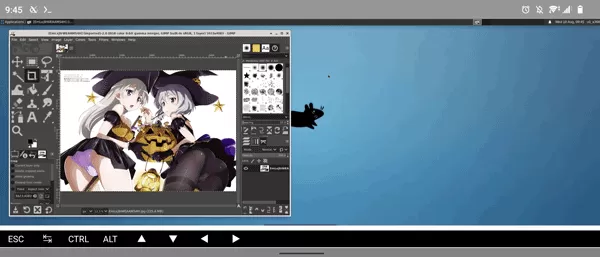 TermuxX11