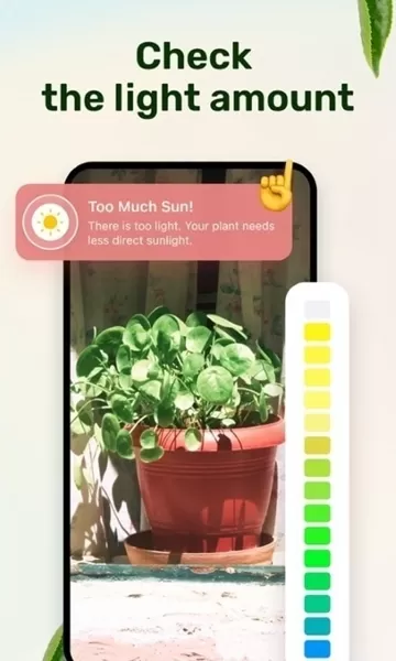 植物养护指南最新版