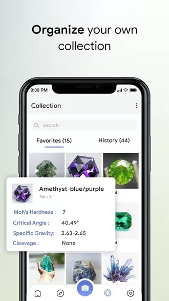 Rock Identifier(岩石识别app)