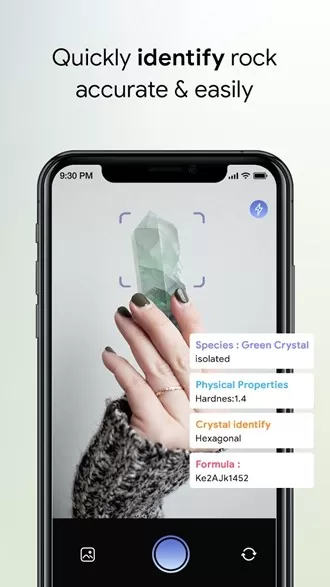 Rock Identifier(岩石识别app)