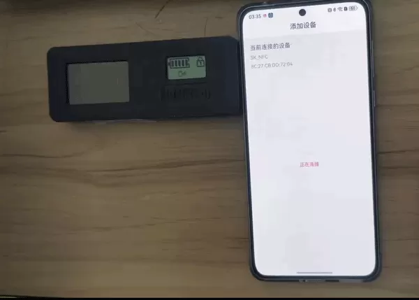 红树河熊