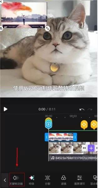 VivaCut官方版