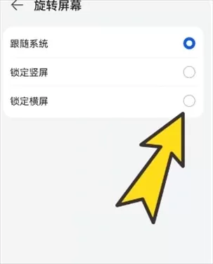bobo浏览器无国界黑色版